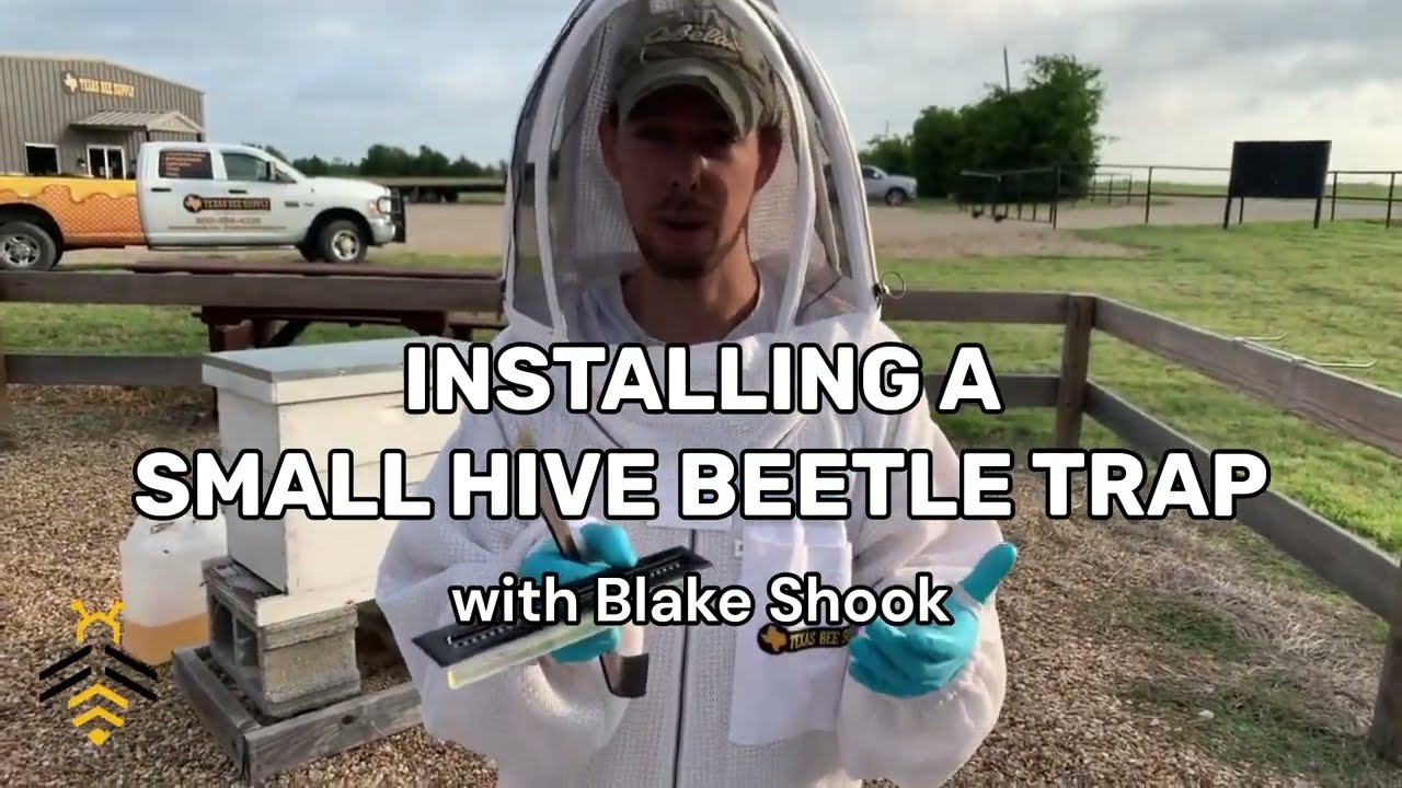 BEEKEEPING in under a minute: Installing a Small Hive Beetle Trap with Blake Shook