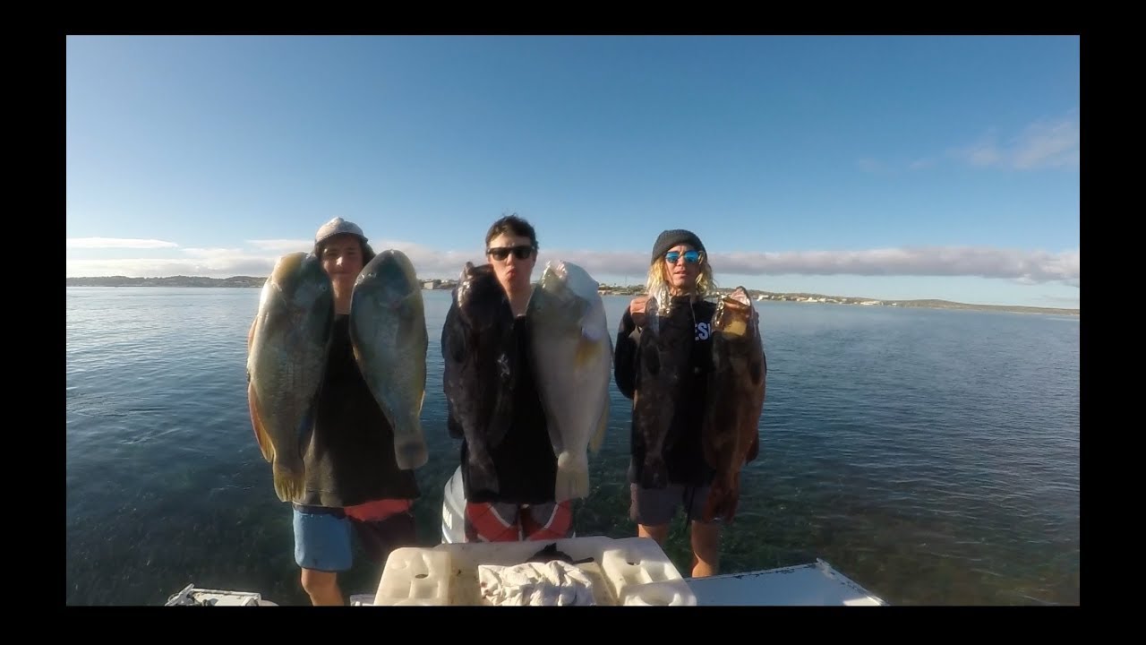 Spearfishing Shark Bay - Against The Current