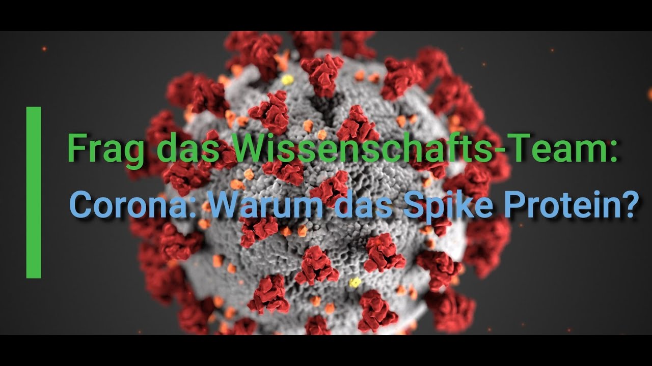 Frag das Wissenschafts-Team: Corona: Warum das Spike Protein?