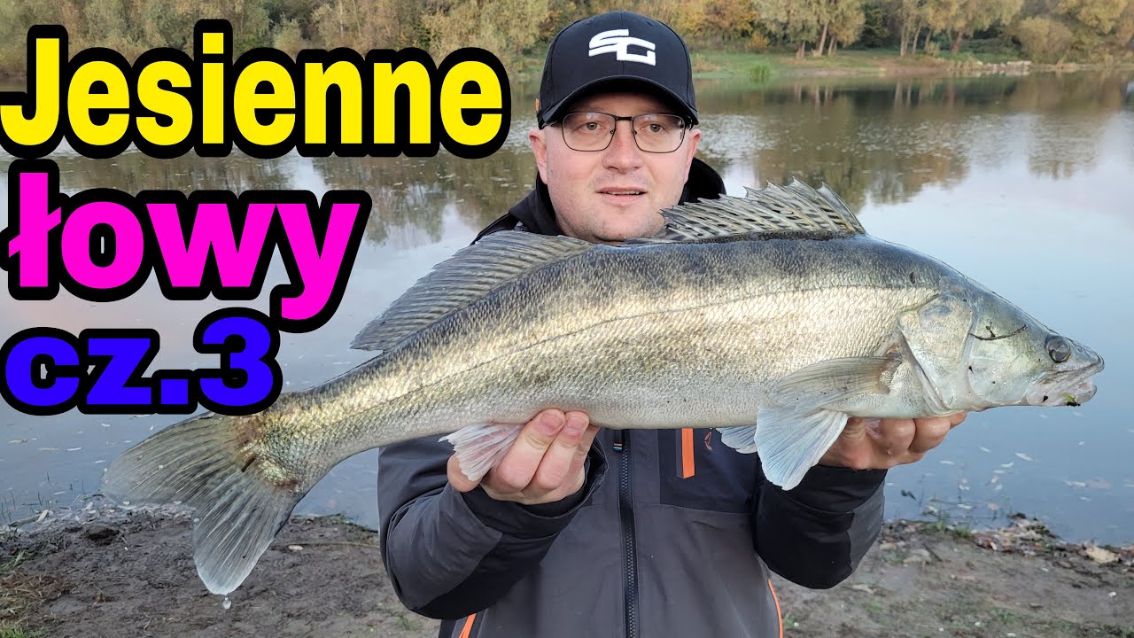 Jesienne łowy cz 3 | łowimy z brzegu | sandacz okonie