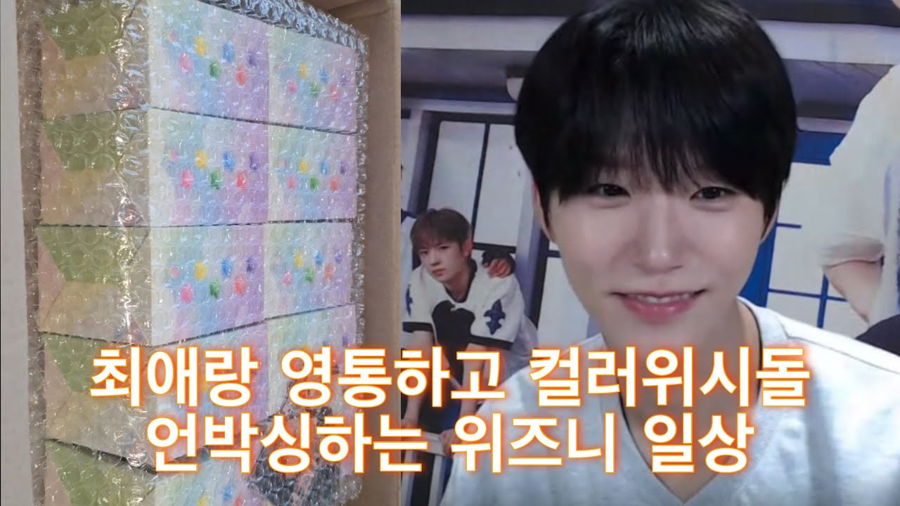 엔시티위시 재희랑 영통하고 위시돌 언박싱하는 평범한 위즈니 일상 브이로그