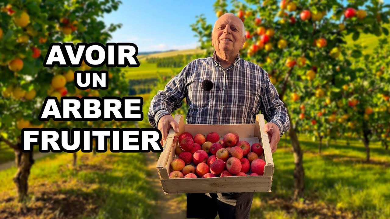 Comment avoir un arbre fruitier qui donne VRAIMENT des fruits !