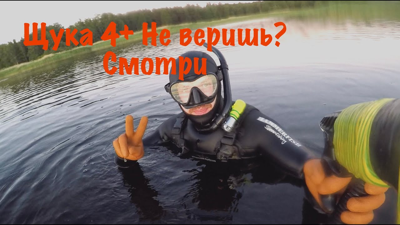 Подводная охота на финском заливе. Щука. Линь. Карась.