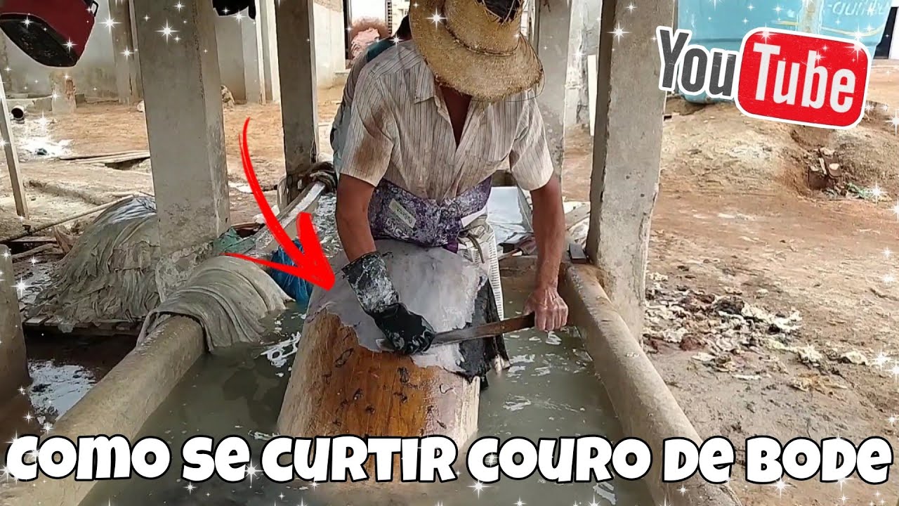 Como se curtir couro de bode