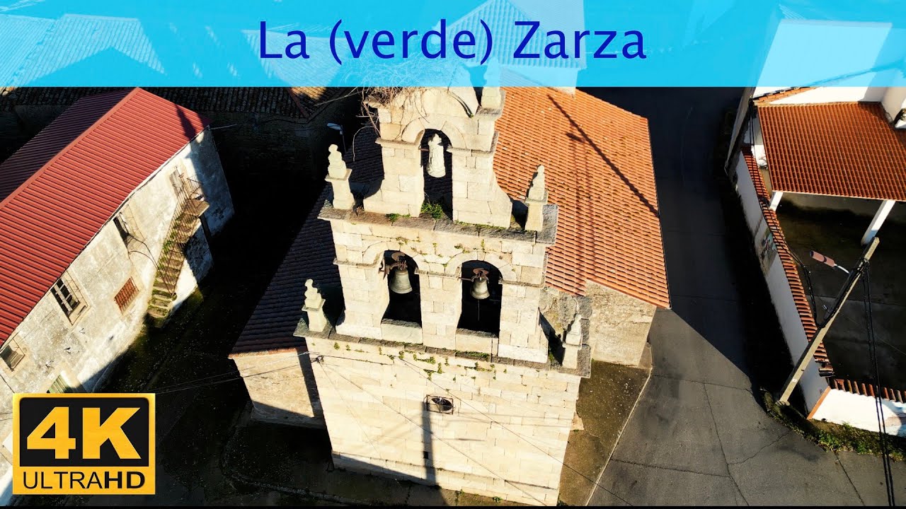 #117 La (verde) Zarza (Enero 2025)