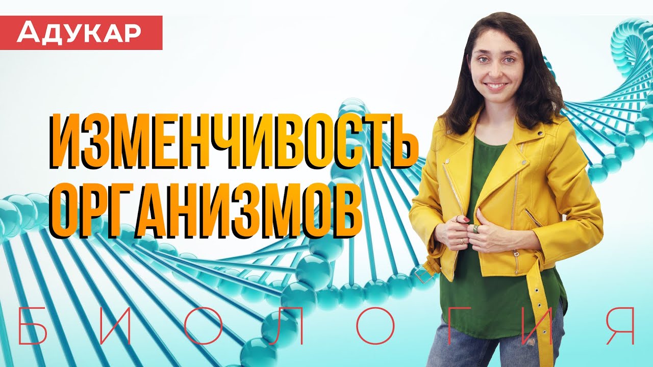 Изменчивость организмов и ее типы | Биология ЕГЭ, ЦТ