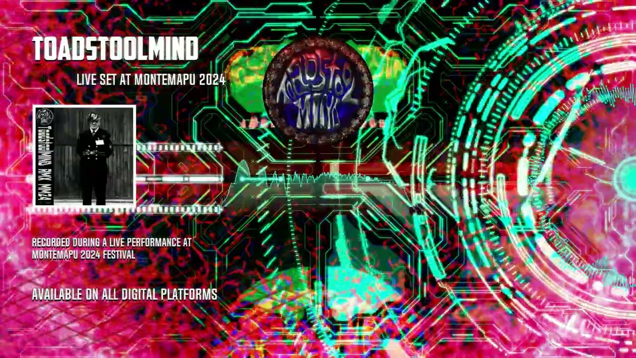 ToadstoolMIND live performance at Montemapu festival 2024