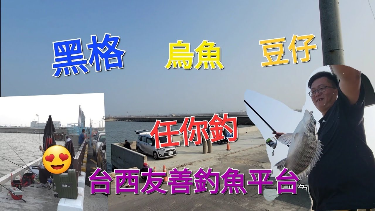 台西友善釣魚平台黑格.沙格.烏魚任你釣，友善釣魚 Fishing  台湾の釣り 낚시 câucá 爆釣 パチスロ