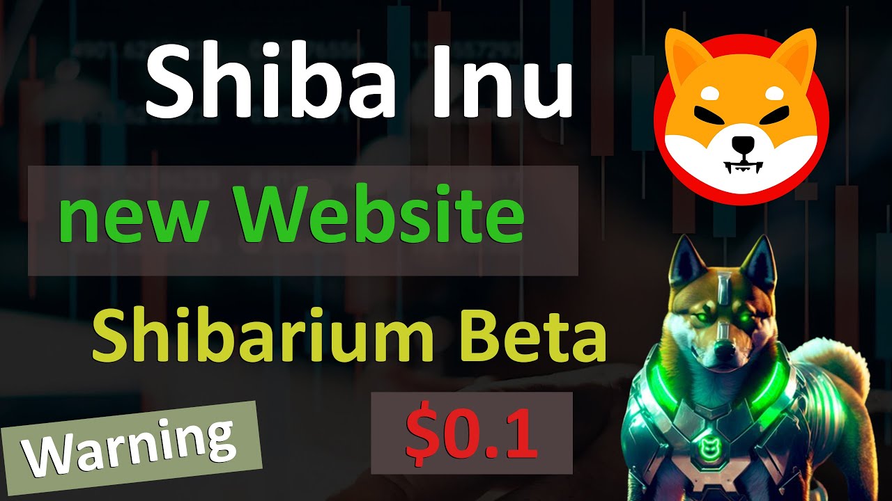 Shiba Inu InTake System Join Shibarium | Elon Musk and Shytoshi Secret | Shibarium Beta Latest News