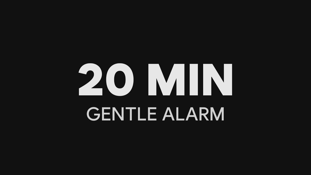 20 Minute Timer – Gentle Alarm