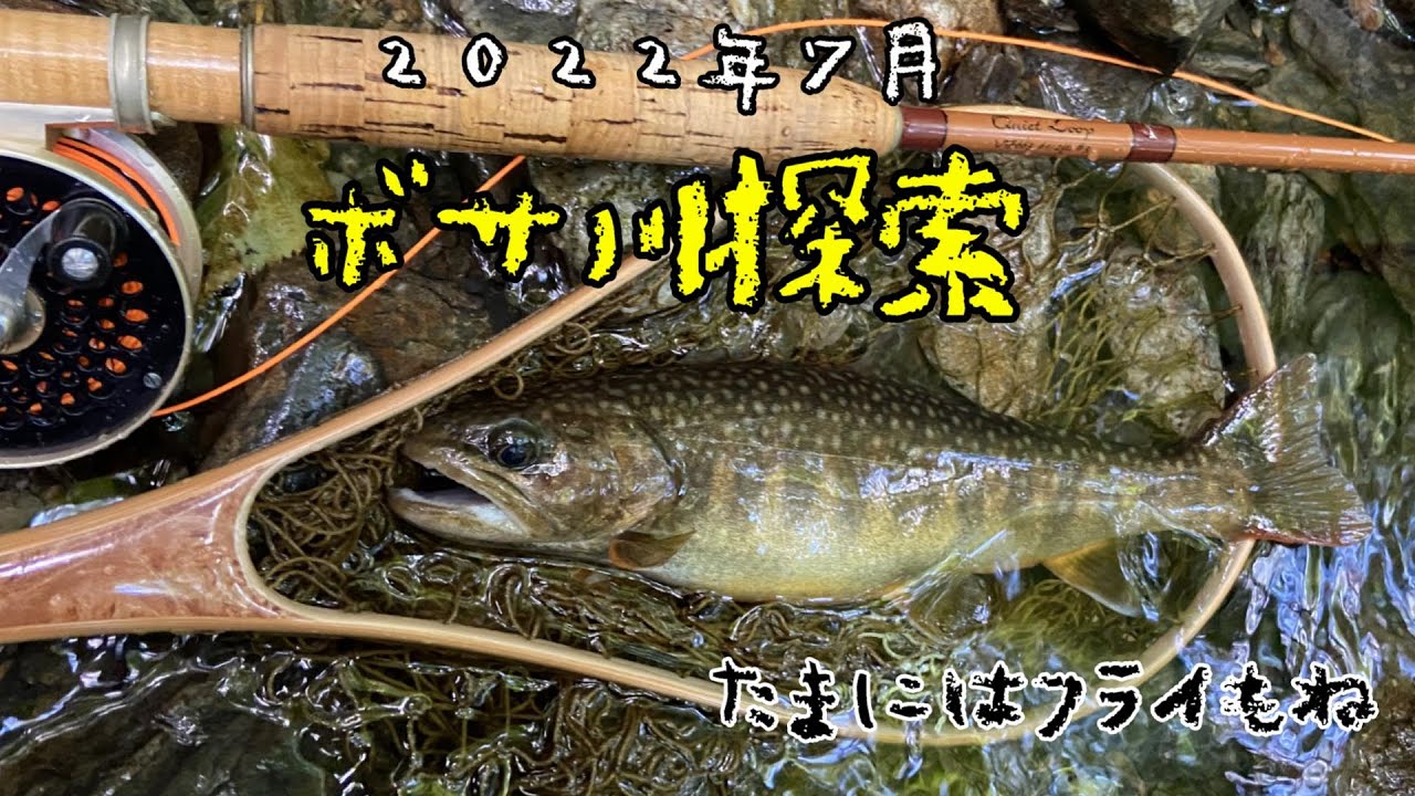 2022年７月初旬　ボサ川探索