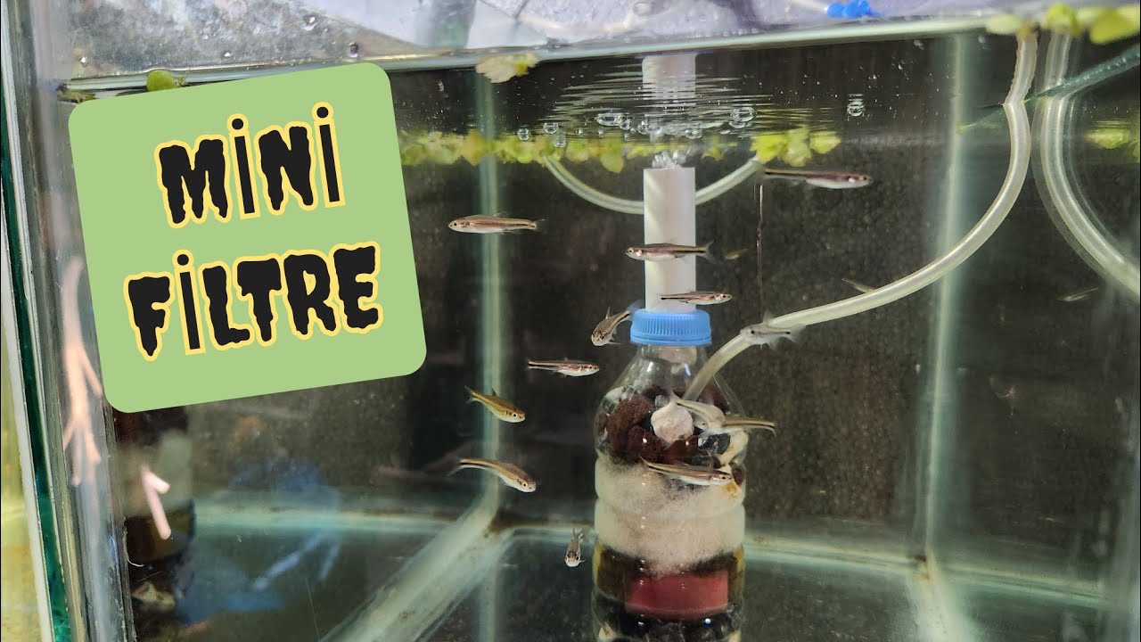 Mini Akvaryum Filtresi Yapımı (Aquarium Filter)