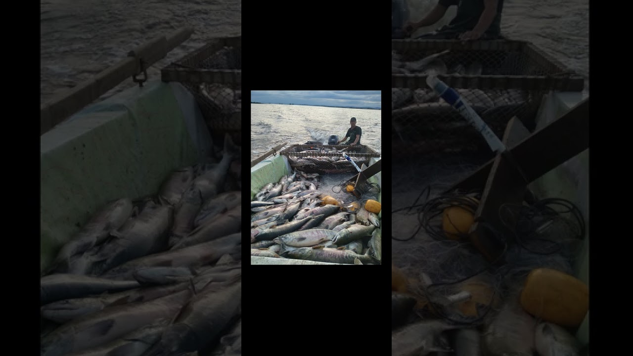 Море Зовет