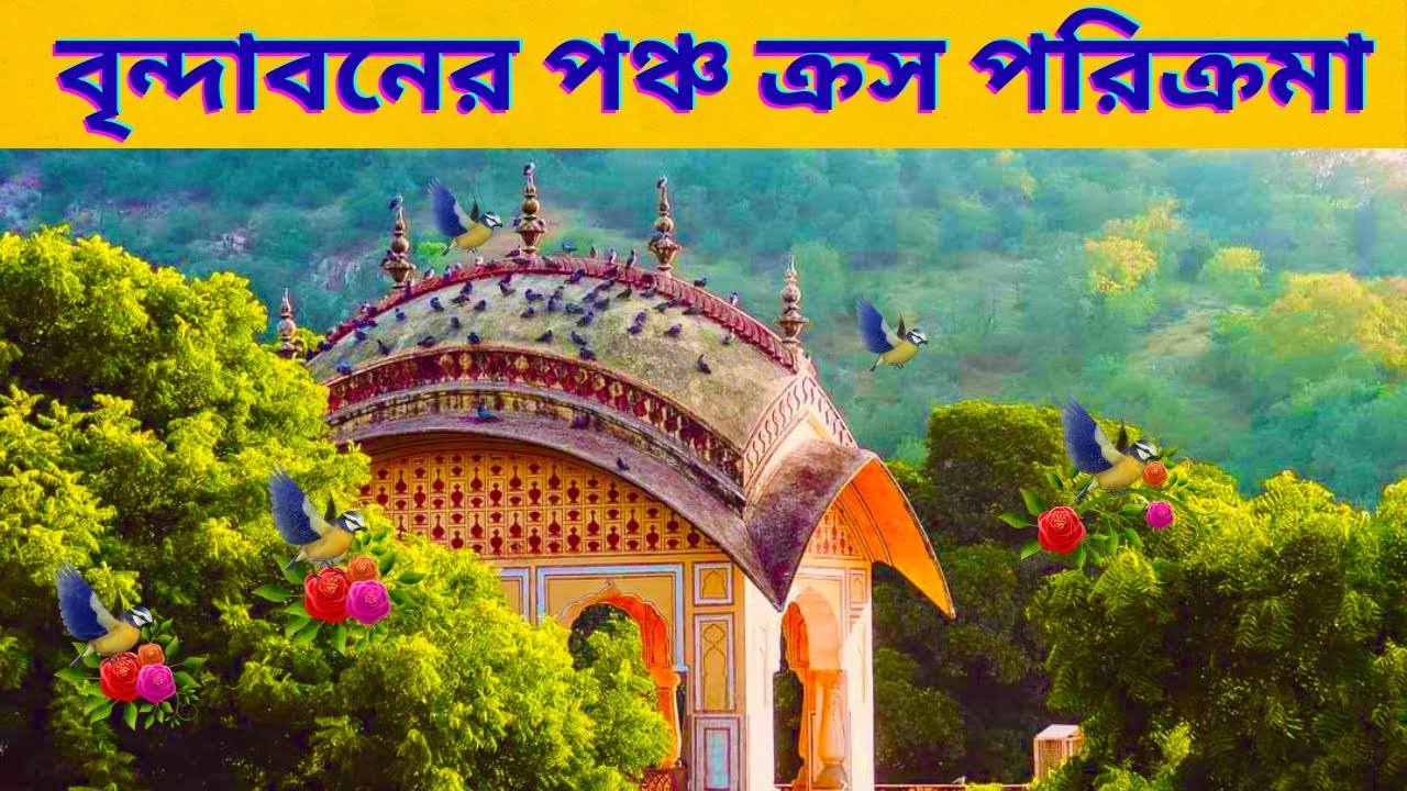 বৃন্দাবনের পঞ্চ ক্রস পরিক্রমার ভিডিও রাধারানীর হৃদ{Parikrama of Vrindavan Dham}