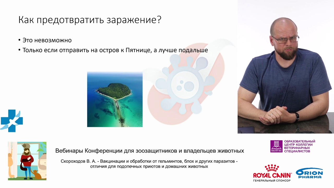 Скороходов В. А. - Вакцинации и обработки от гельминтов, блох и других паразитов