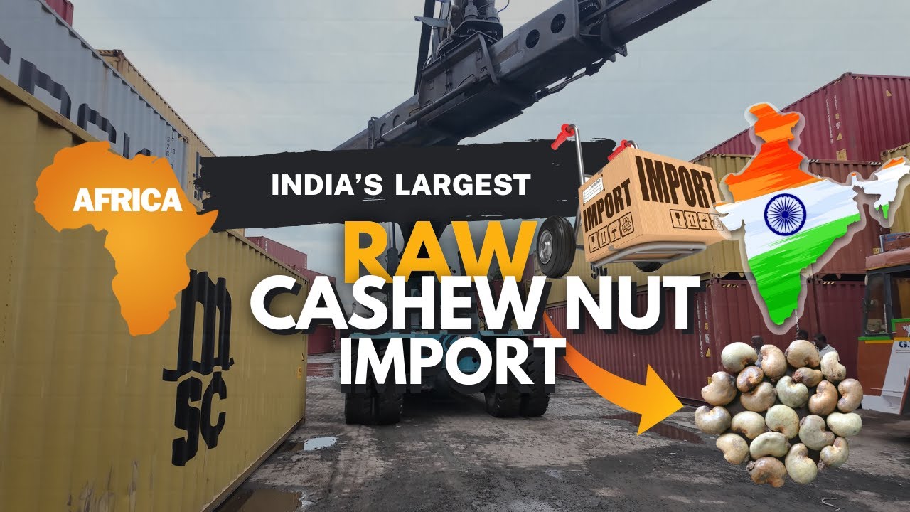 Importing Raw Cashew Nut From Africa - Tuticorin CFS