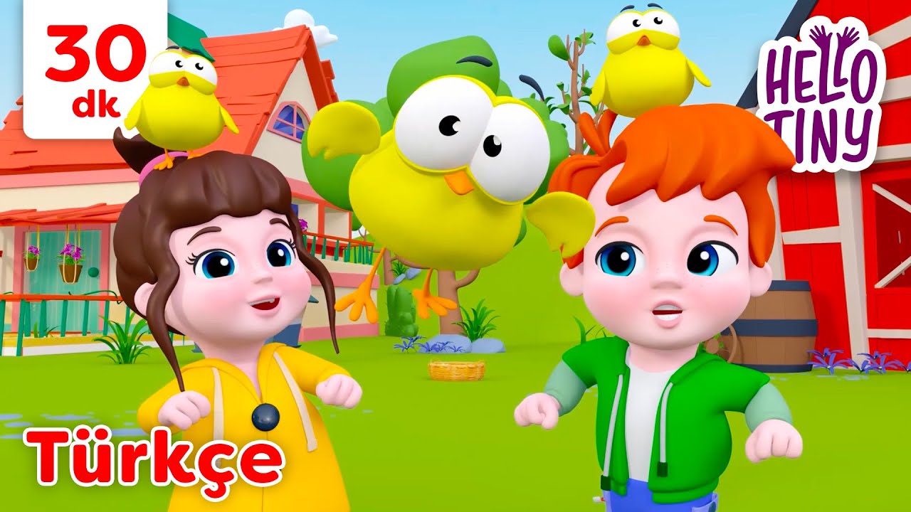 Hayvan Sesleri Şarkısı 🐥🫏 | Bebekler için şarkılar | Hello Tiny Türkçe