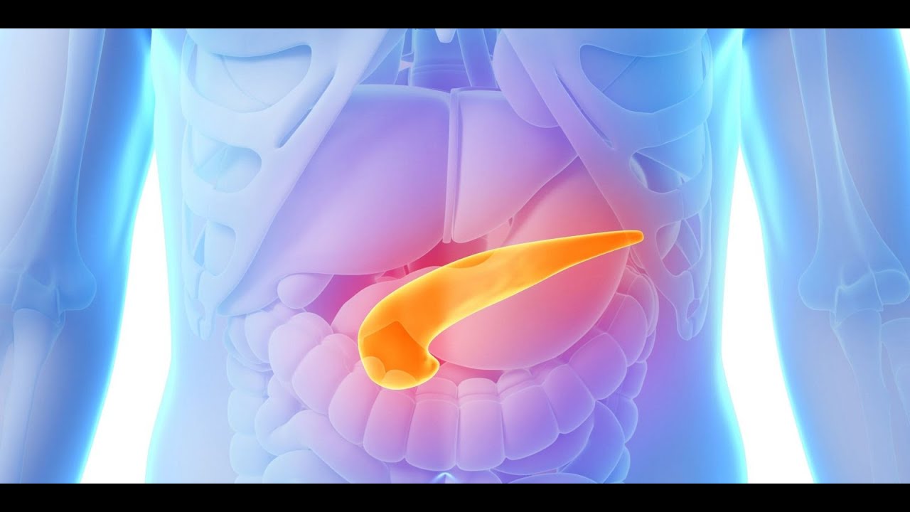 Patologie del Pancreas e Malnutrizione - Ruolo degli enzimi pancreatici sostitutivi ad alto dosaggio