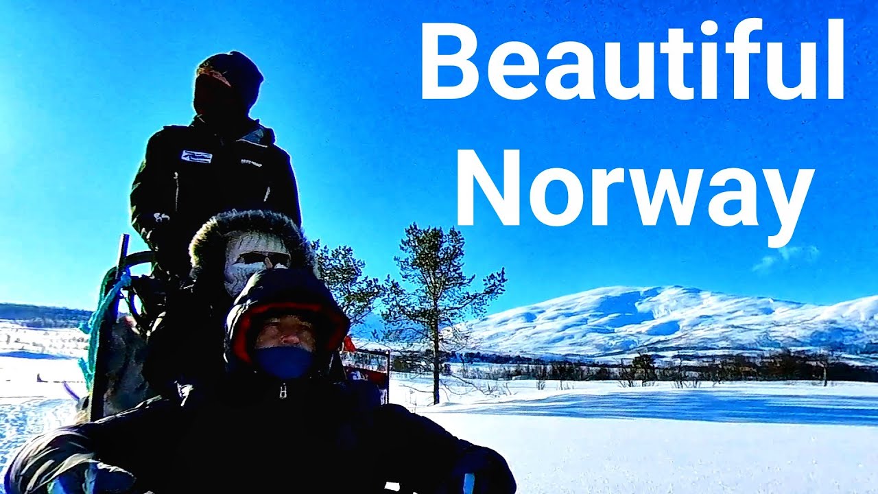 tromso husky sledging adventure movie