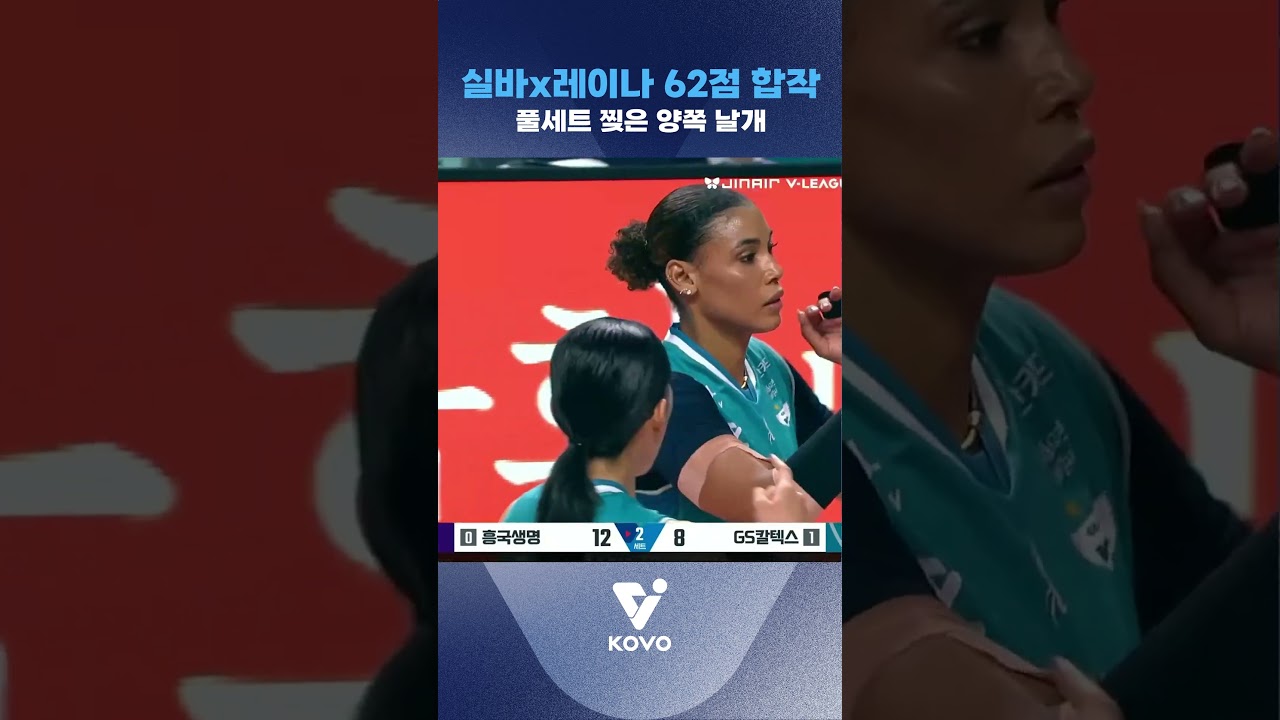 실바x레이나 62점 합작 풀세트 찢은 양쪽 날개