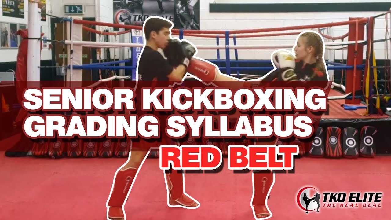 SENIOR KICKBOXING GRADING SYLLABUS - RED BELT
