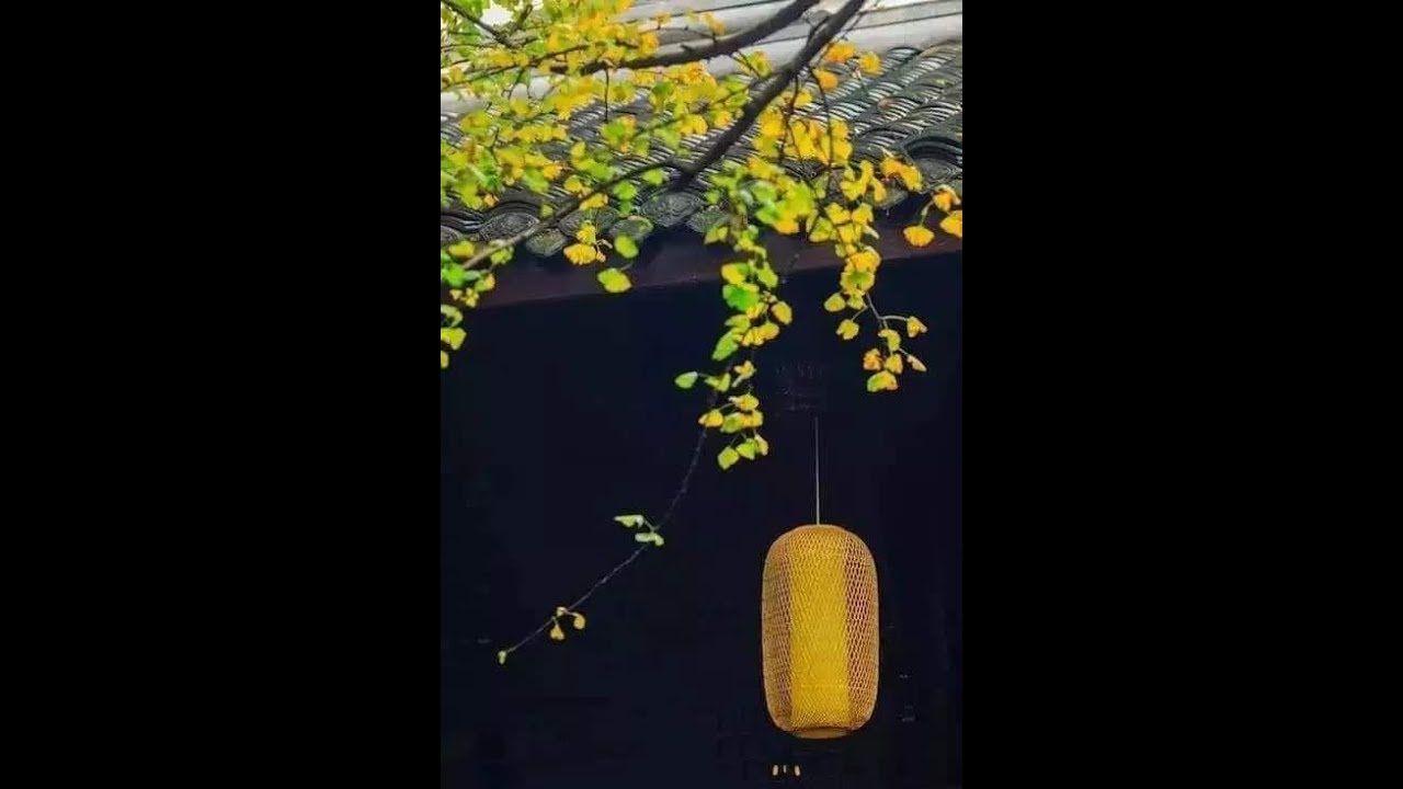 ~ ~ 《 抒 懷 - 心靈推拿音樂 - 亞洲音樂 》 ~ ~