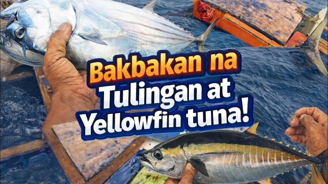 Bakbakan na Tulingan at Yellowfin tuna! | Nakaswerte ulit bago dumating ang bagyo. | Ep.22 P-3