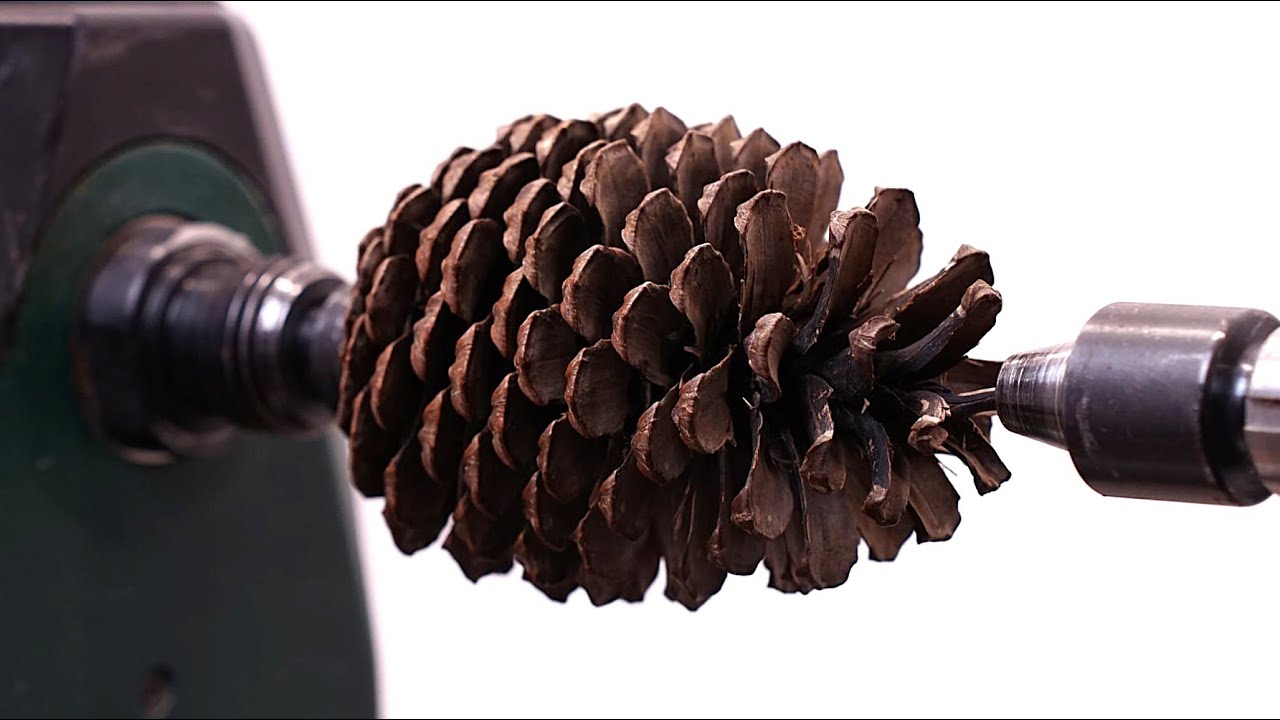 Woodturning - Pine Cone Becomes a Mini Christmas Tree
