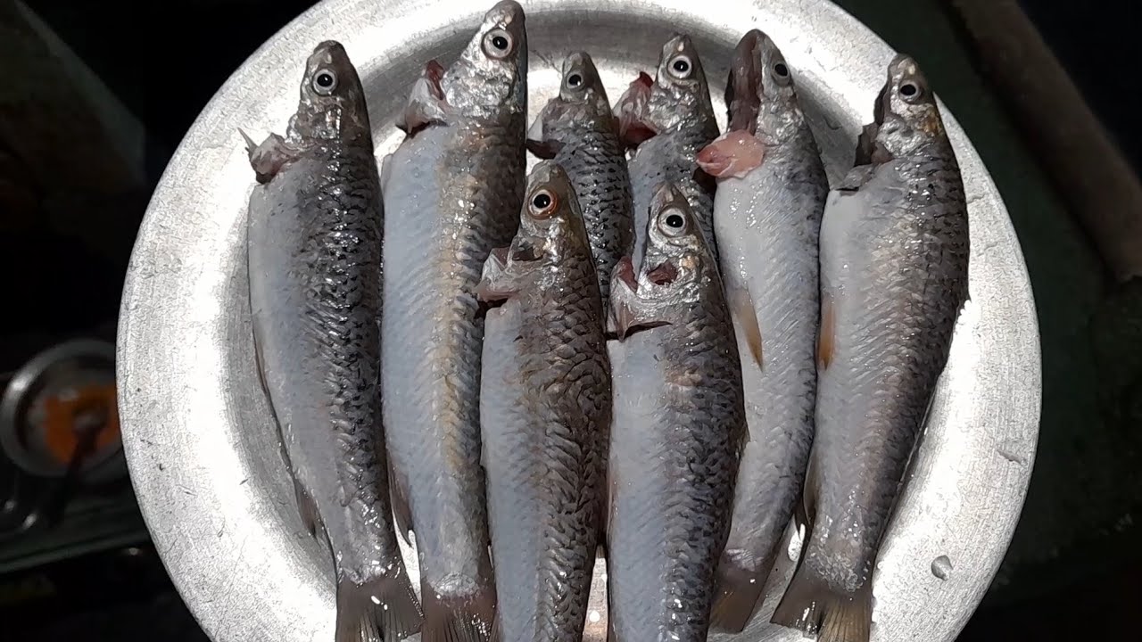 Charapona macher jhal/Charapona macher jhol/pona macher recipe/bengali fish curry 