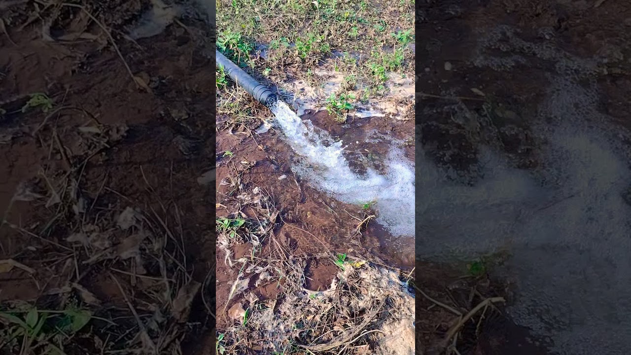 First watering before sowing a crop : paleo #farmer #farmerlife