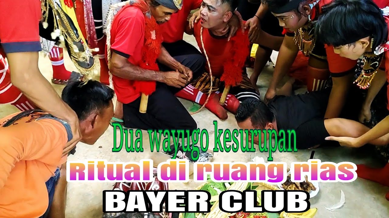 KAPATAN MOMEN MBEKES PALING GARANG‼️PAWANG SEMPAT KWALAHAN||JARANAN BAYER CLUB||KUDA LUMPINGLAMPUNG