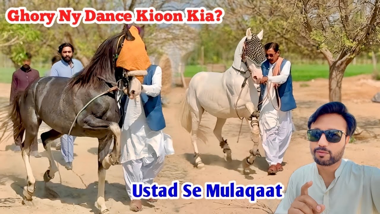 Premium Horse Training Farm Tour | Ustad Ji Se Exclusive Mulaqat 🐎💼