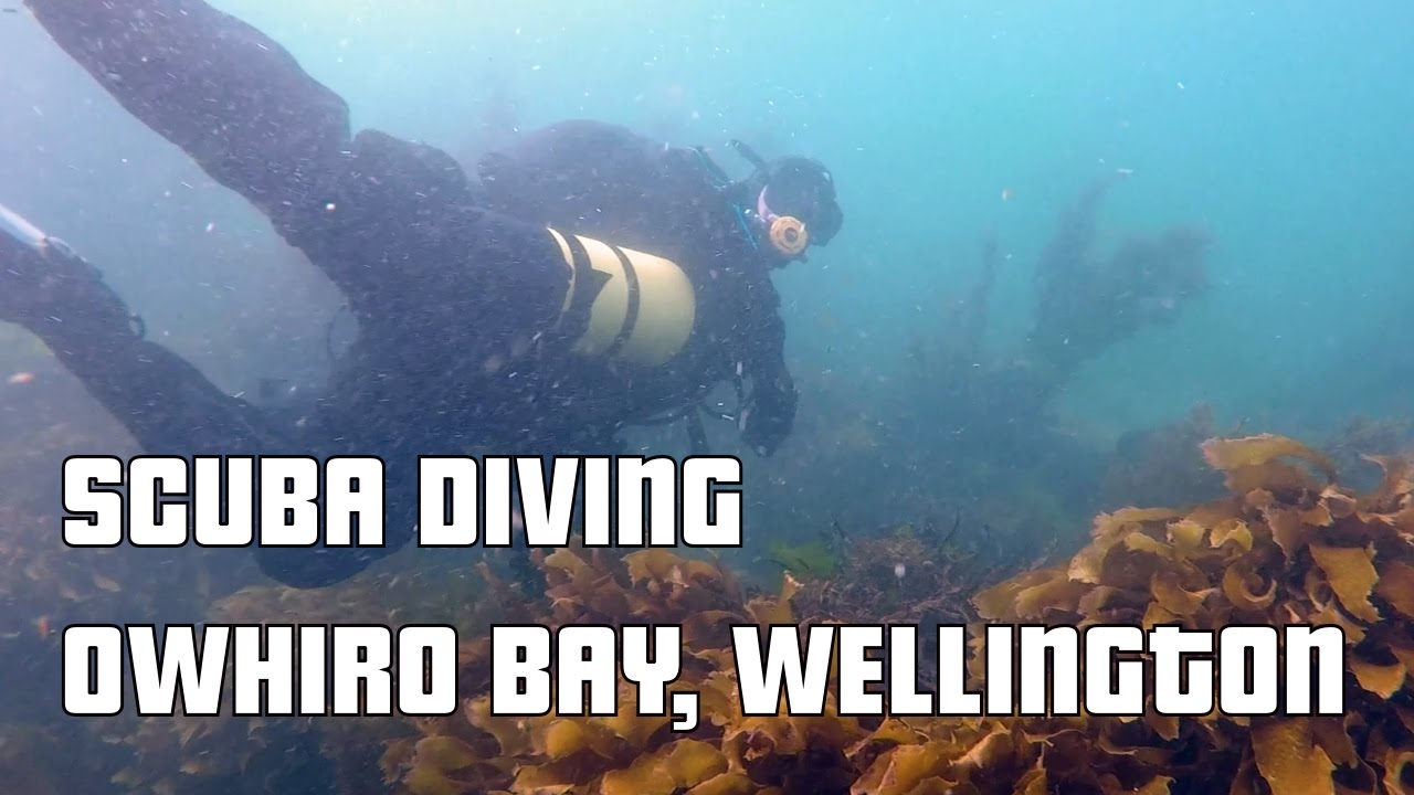 Scuba Diving Yung Pen Shipwreck | Owhiro Bay, Wellington NZ | GoPro Hero 5
