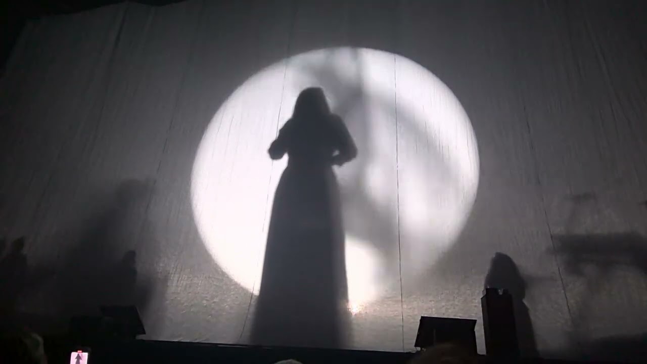 Lara Fabian zénith d Auvergne . 29/11/2025. Ouverture. Je suis de toi.
