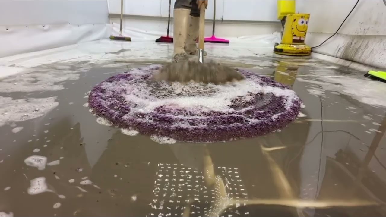 Dirty Circle Carpet Scraping Compilation || MiracleRugCleaning  
