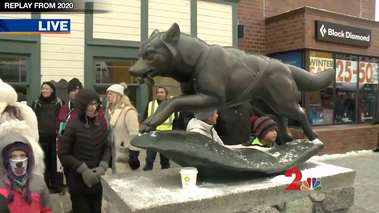 IDITAROD 2021 LIVE STREAM | QRILLPAWS 2021