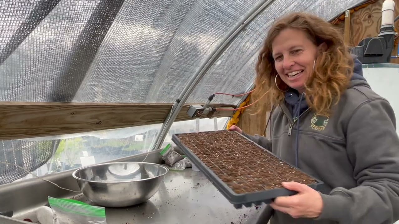 This Is How We Grow: Sewing Perennials