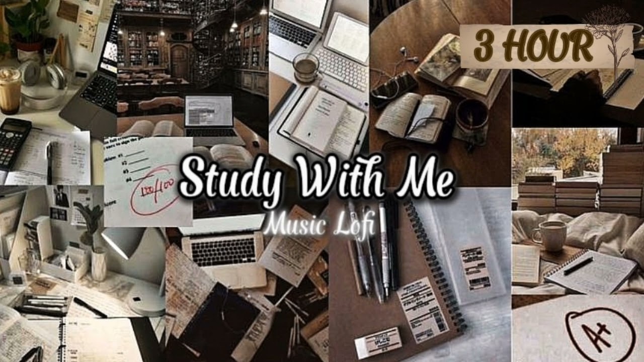 Study With Me 📖 | Peaceful Lofi for Studying, Reading & Alone Time🌸