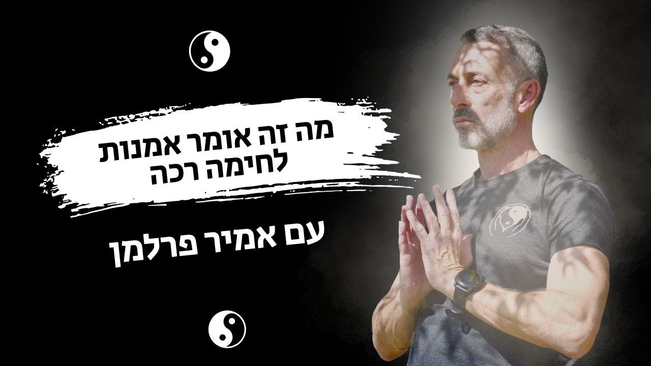 טאי צ'י הנה אומנות לחימה רכה אמיר מסביר מהי אומנות לחימה רכה