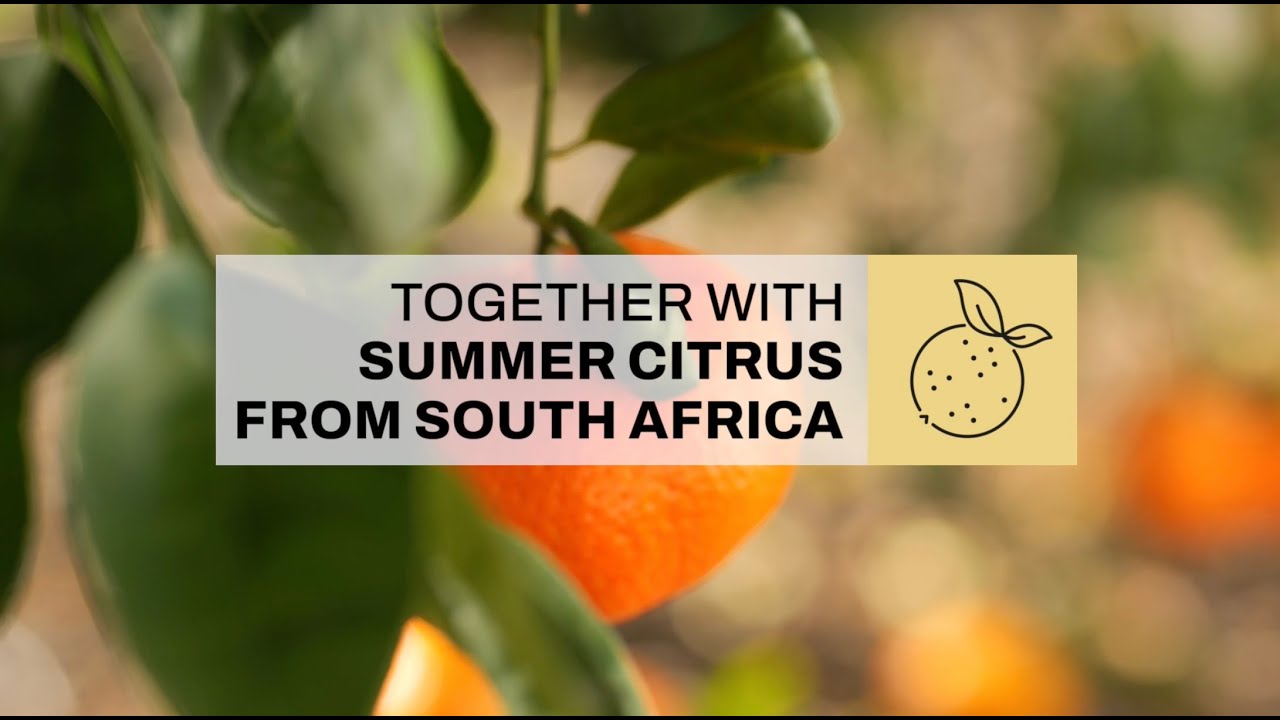 Shipping citrus with Summer Citrus: Customer Story | MSC