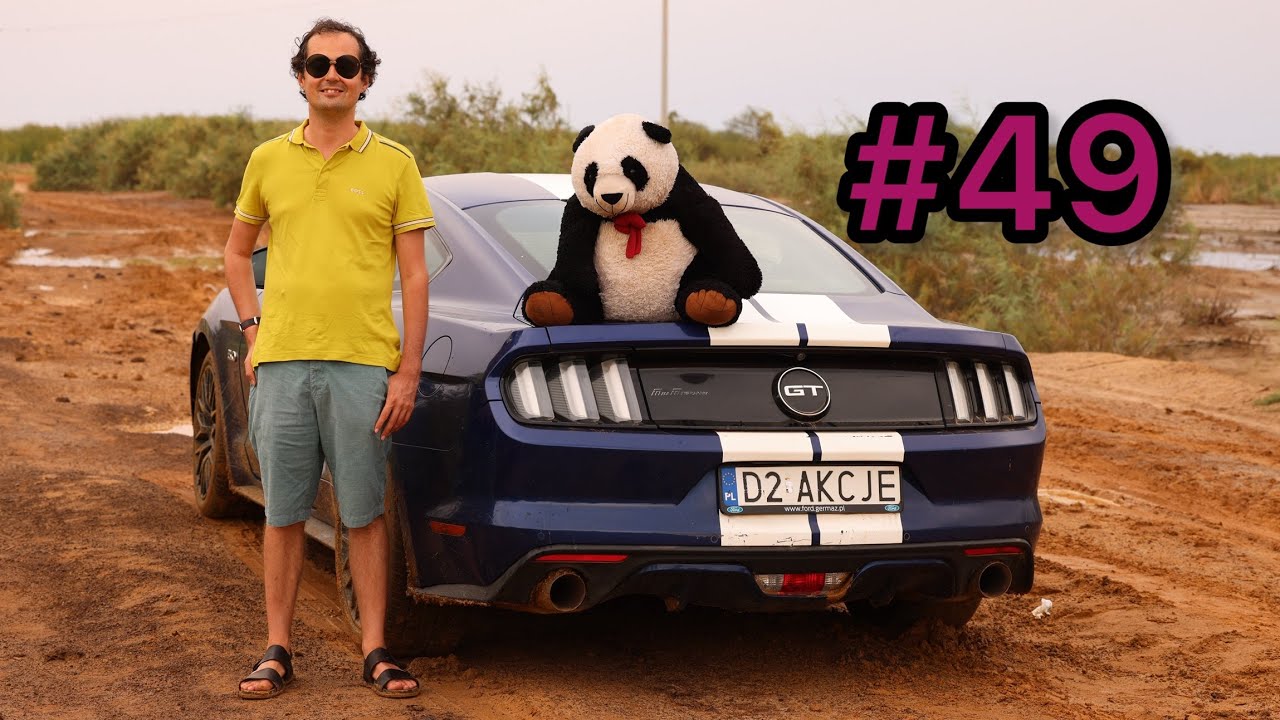 #49 Mustang in Senegal - Morphil Island, Lake Guiers and Djoudj National Park.