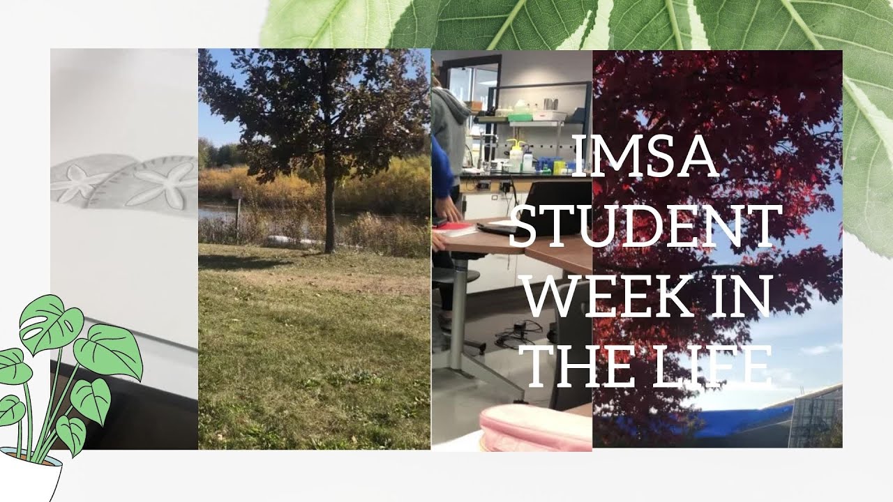 IMSA Student Week In The Life