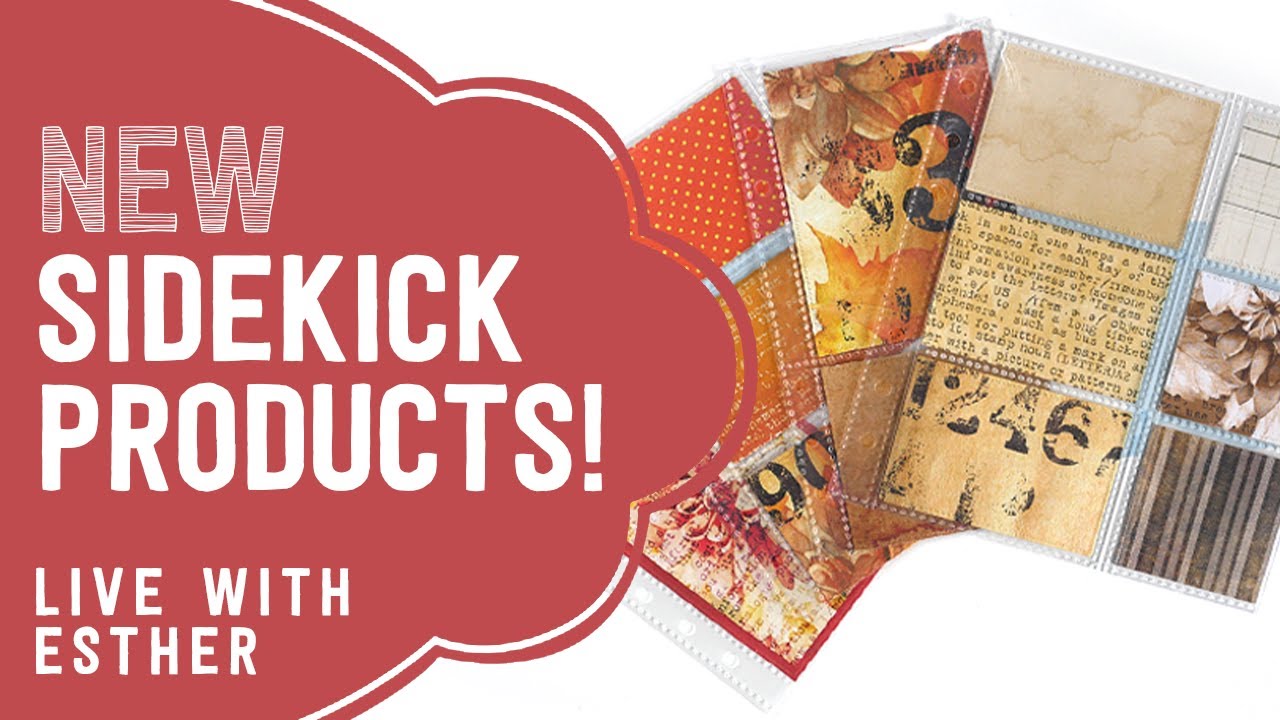New! Sidekick Products and DDBD | LIVE with Esther