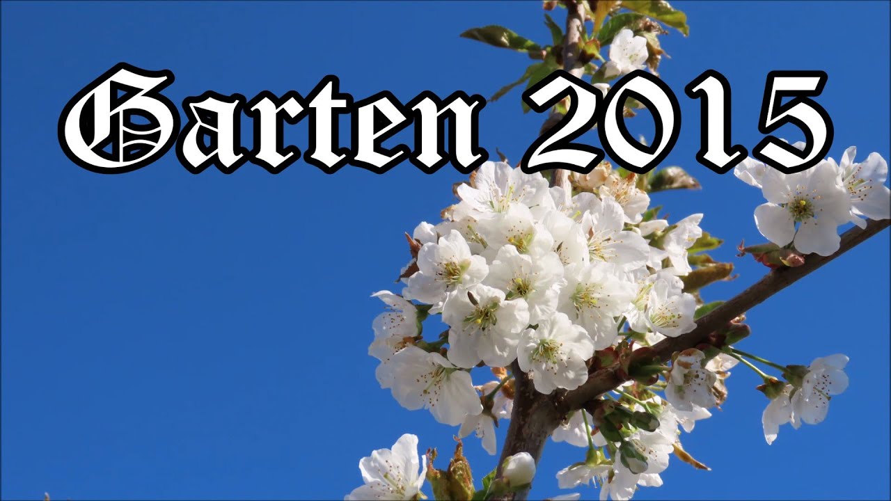 Garten