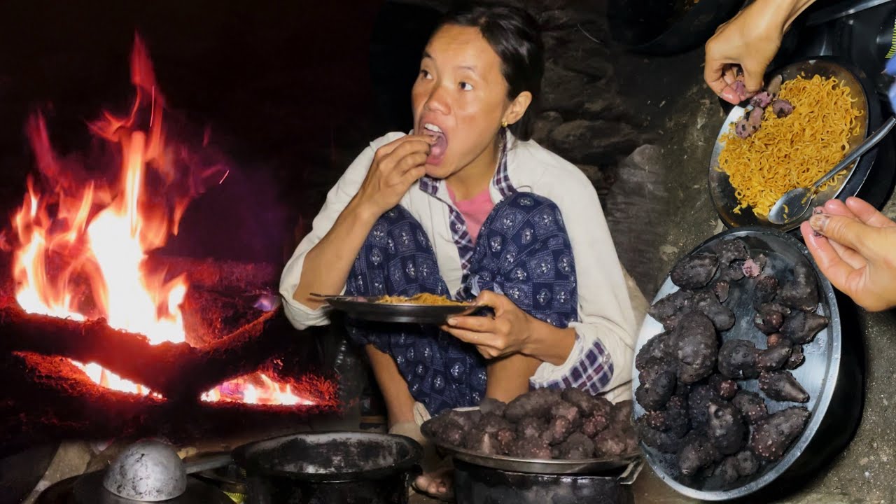 Wild Yam Searching in Forest ! Cooking & Eating ! Solo Survival Camping !