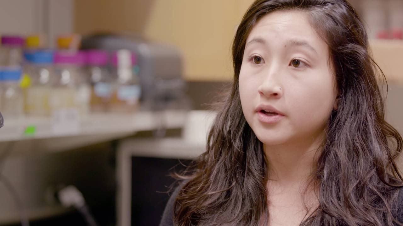 Microsoft and University of Washington DNA Storage Research Project &ndash; Full