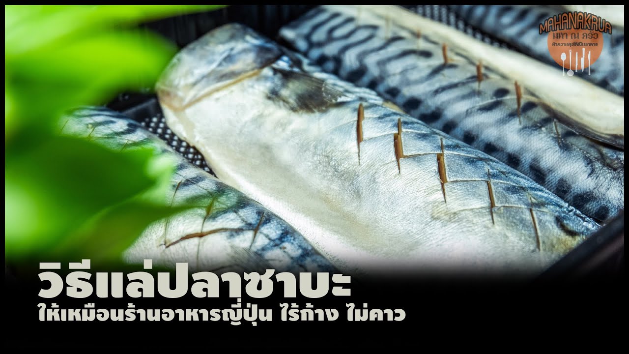 เทคนิคแล่ปลาซาบะ วิธีแล่ปลาซาบะ ไร้ก้าง ไม่คาว/how to filet mackerel/