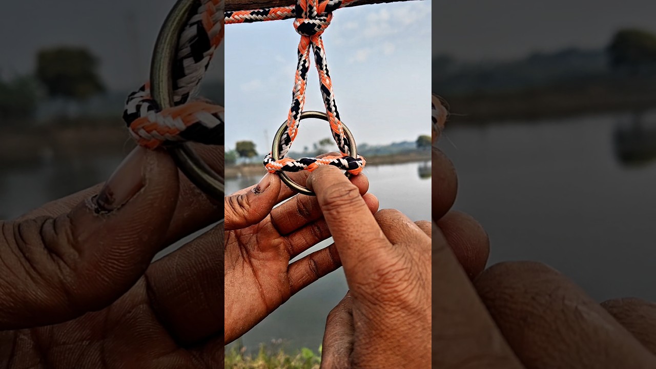 Simple Rope Knot That Holds Strong 👍 #shorts #knotting #lifehacks