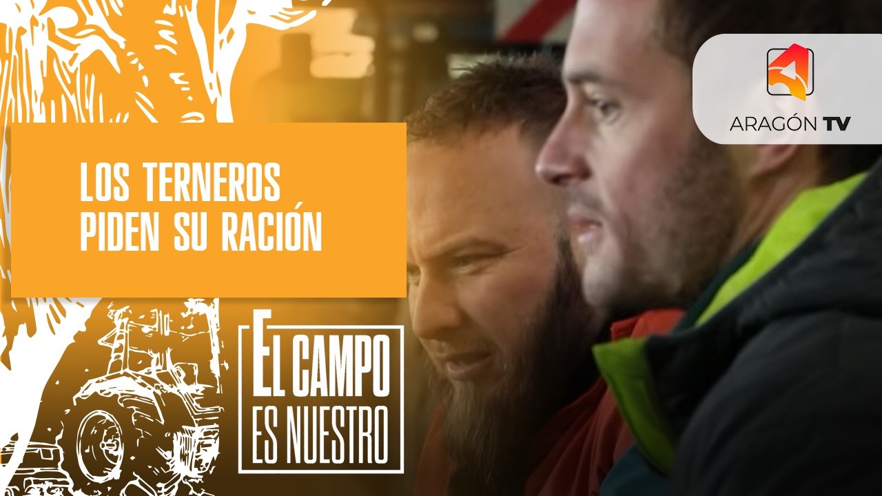 Los terneros piden su ración
