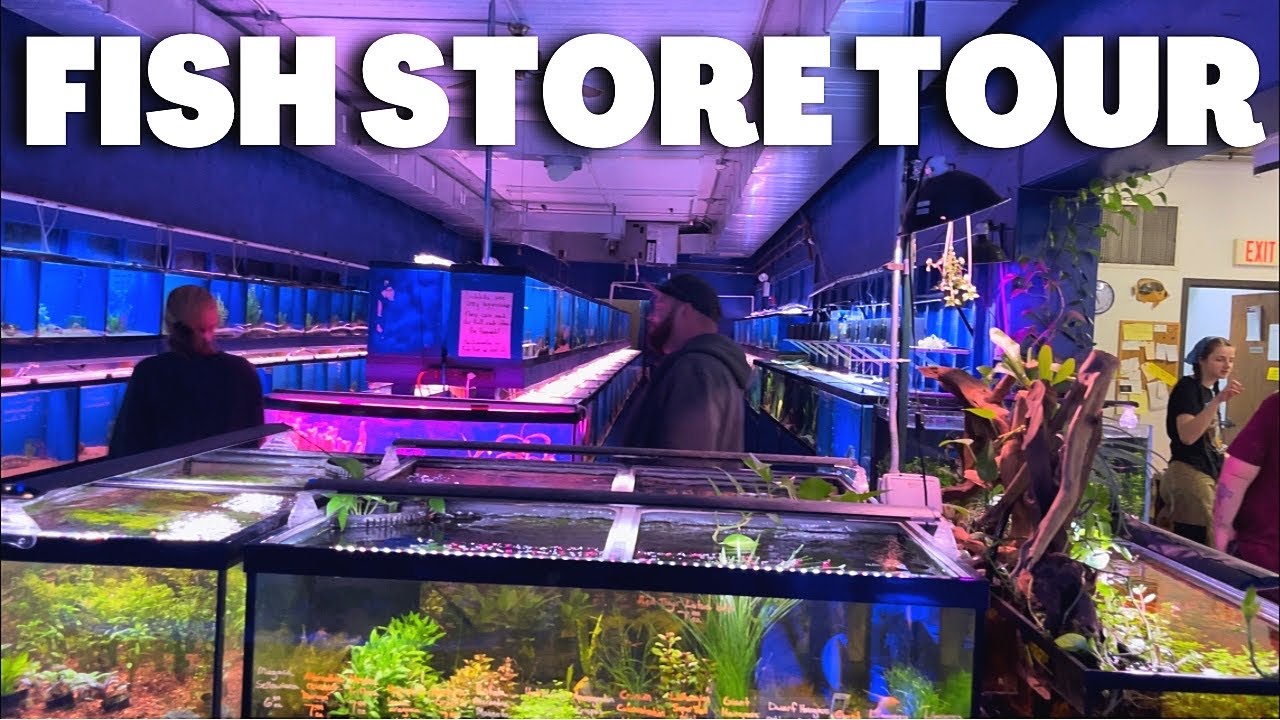 You'll Never Believe What's In This Tropical Fish Store *Tour*